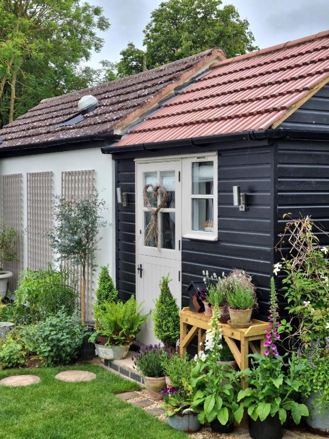 Owl Lodge นิวพอร์ตแพกเนลล์ ภายนอก รูปภาพ
